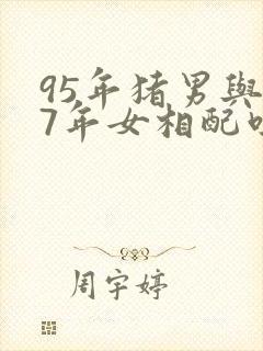 95年猪男与97年女相配吗