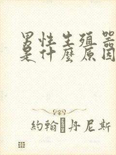 男性生殖器发臭是什么原因