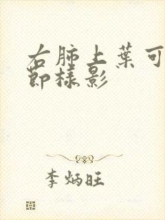 右肺上叶可见结节样影