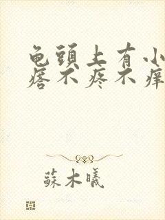 龟头上有小红疙瘩不疼不痒是怎么回事