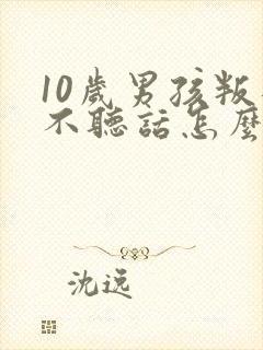 10岁男孩叛逆不听话怎么办封面