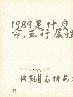 1989是什么命,五行属性