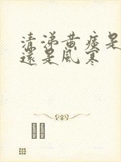 清涕黄痰是风热还是风寒