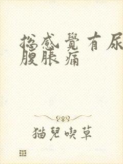 总感觉有尿意小腹胀痛封面