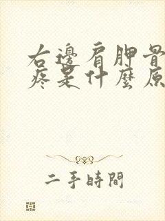 右边肩胛骨后背疼是什么原因引起的封面