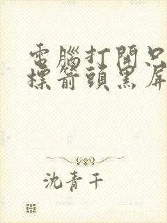 电脑打开只有鼠标箭头黑屏怎么办