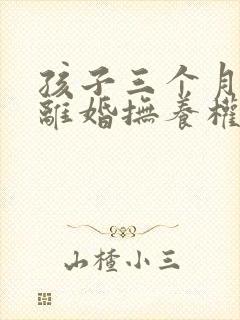 孩子三个月提出离婚抚养权归谁