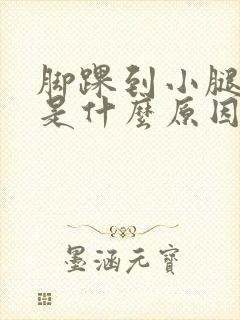 脚踝到小腿胀痛是什么原因引起的封面