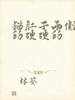 猫肚子两侧鼓鼓的硬硬的封面