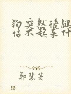 狗突然后腿无力站不起来什么原因