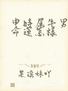 申时属牛男孩的命运怎样