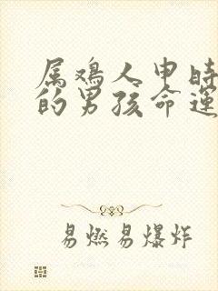 属鸡人申时出生的男孩命运怎么样