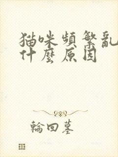 猫咪频繁乱尿是什么原因封面