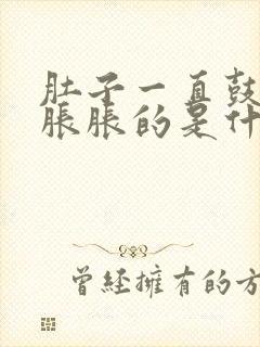 肚子一直鼓鼓的胀胀的是什么原因