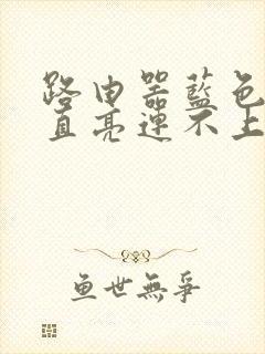 路由器蓝色灯一直亮连不上网