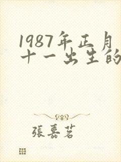 1987年正月十一出生的人命运