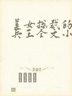 美女总裁的贴身兵王全文小说