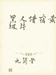 黑人借宿黄色一级片封面