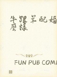 牛跟羊配婚姻怎么样封面