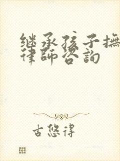 继承孩子抚养权律师咨询