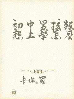 初中男孩叛逆不想上学怎么办