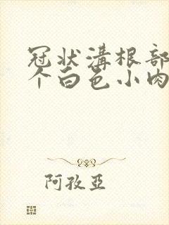 冠状沟根部长了个白色小肉粒