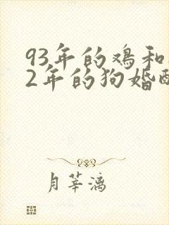 93年的鸡和82年的狗婚配是否相配封面