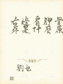 右边肩胛骨后背疼是什么原因