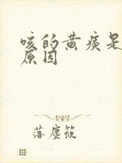 咳的黄痰是什么原因封面