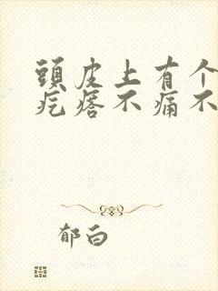 头皮上有个红色疙瘩不痛不痒