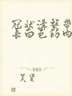 冠状沟系带两边长白色的肉粒