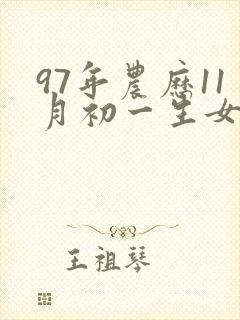 97年农历11月初一生女的命运如何