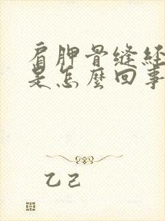 肩胛骨缝经络疼是怎么回事