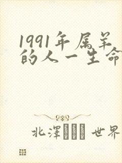 1991年属羊的人一生命运如何