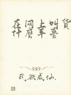 在网上叫货车找什么平台封面