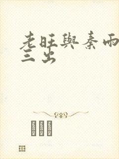 老旺与秦雨三进三出封面