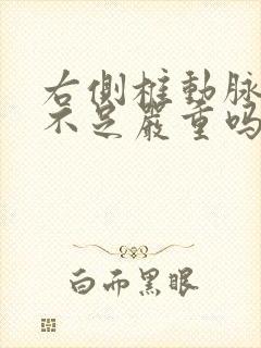 右侧椎动脉供血不足严重吗