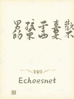 男孩子喜欢女生的东西是不是异性癖