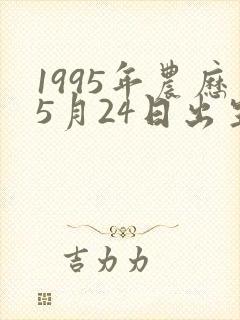 1995年农历5月24日出生的人命运