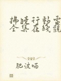 拂晓行动电视剧全集在线观看