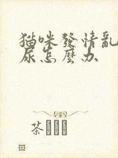 猫咪发情乱拉乱尿怎么办