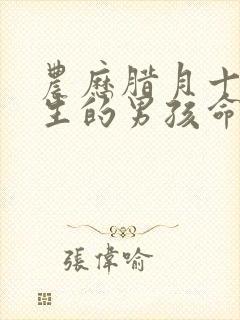 农历腊月十七出生的男孩命运