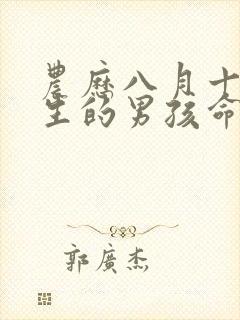 农历八月十五出生的男孩命运