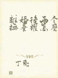 离婚后两个孩子抚养权怎么判定