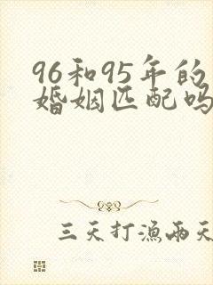 96和95年的婚姻匹配吗封面