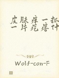 皮肤痒一抓就起一片疙瘩什么原因