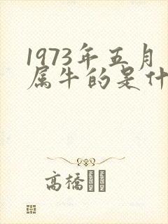 1973年五月属牛的是什么命