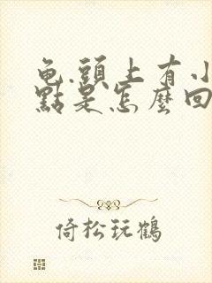 龟.头上有小红点是怎么回事有点痒