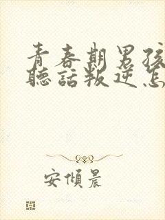 青春期男孩子不听话叛逆怎么应对封面