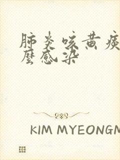 肺炎咳黄痰是什么感染